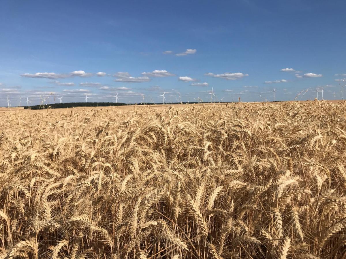 فيلا Les Bois De Champagne Nordique Magnant المظهر الخارجي الصورة